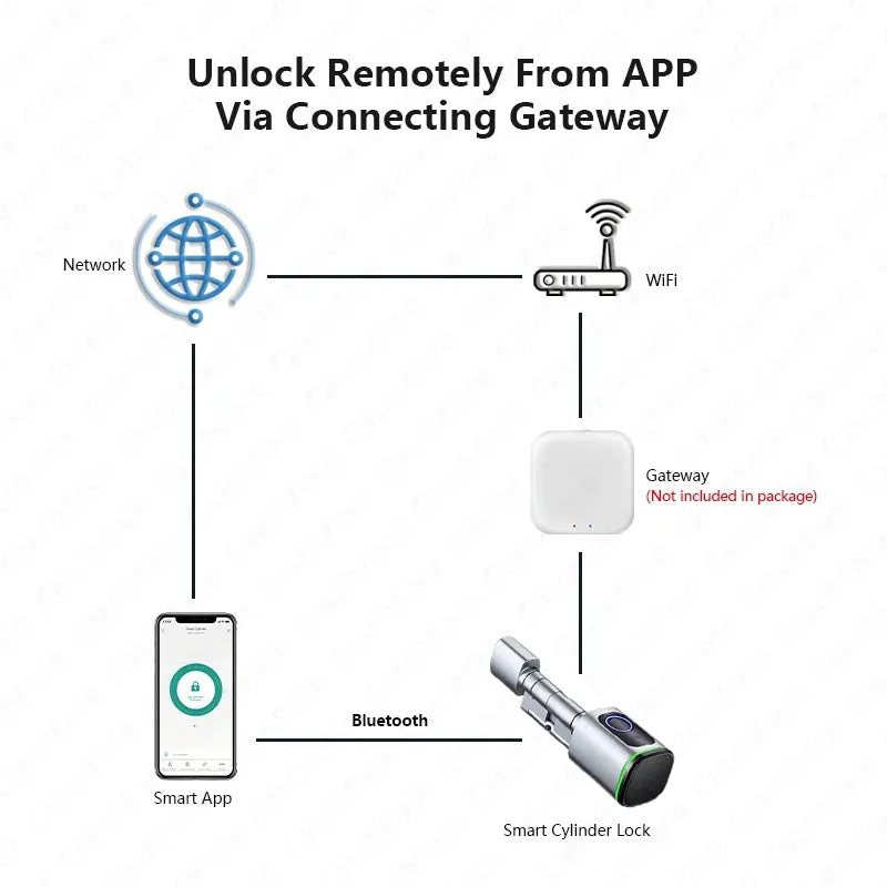 Smart Door Lock Electronic with Alexa Google Home